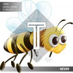 cover: G-project|Arnau Ariza - Never