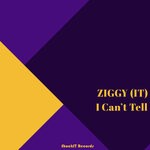 cover: Ziggy (it) - I Can't Tell