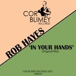 cover: Rob Hayes - In Your Hands