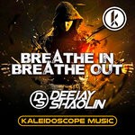 cover: Deejay Shaolin - Breathe In Breathe Out