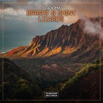 cover: Sigooma - Bright & Shiny Lizards