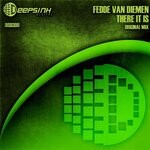 cover: Fedde Van Diemen - There It Is