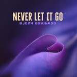 cover: Bjorn Odvinrod - Never Let It Go