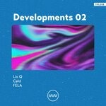 cover: Lio Q|Cold|Fela - Developments 02