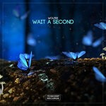 cover: Wolfer - Wait A Second