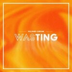 cover: Polished Chrome - Wasting