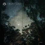 cover: Various - Transitions