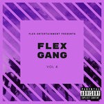 cover: Various - Flex Gang, Vol 4