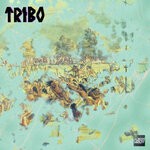 cover: Albert Wolff - Tribo (Original Mix)