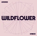 cover: Robohands|Aleh - Wildflower