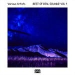 cover: Various - Best Of Real Soundz Vol 1