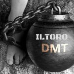 cover: Iltoro - DMT (All The Feel Is Gone)