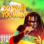 cover: Chezidek|Fanbrown - Do What You Want