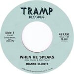 cover: Dianne Elliott - When He Speaks