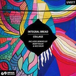 cover: Integral Bread - Collage