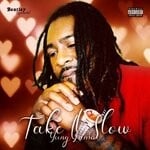 cover: Yung Lamar - Take It Slow