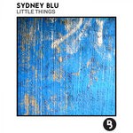 cover: Sydney Blu - Little Things (Original Mix)