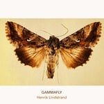 cover: Henrik Lindstrand - Gammafly