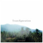 cover: Philipp Priebe - Transfiguration