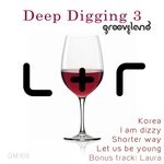 cover: Luchi & Raizer - Deep Digging 3