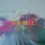 cover: Neev - Seawall