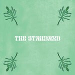 cover: Turbojazz - The Standard