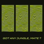 cover: Thing - Got Any Jungle, Mate ?