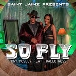 cover: Saint Jaimz - So Fly