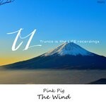 cover: Pink Pig - The Wind