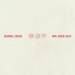 cover: Suriel Hess - Mr. Nice Guy