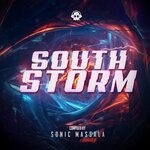 cover: Various - VA South Storm