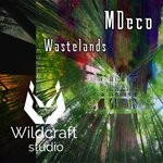 cover: Mdeco - Wastelands (Original Mix)