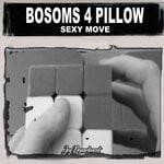 cover: Bosoms 4 Pillow - Sexy Move (Mixes)