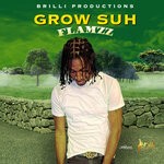 cover: Brilli|Flamzz - Grow Suh