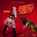 cover: Sha Quan - Beg For It