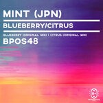 cover: Mint (jpn) - Blueberry / Citrus