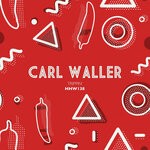 cover: Carl Waller - Trippin' (Extended Mix)