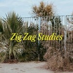 cover: Johannes Albert - Zig Zag Studies