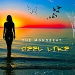 cover: The Monobeat - Feel Like