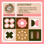 cover: Audiotrap - I Want You To Want Me