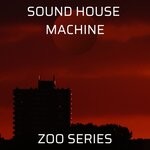 cover: Ellen Klein|Various - Sound House Machine