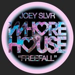 cover: Joey Slvr - Freefall