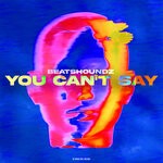 cover: Beatshoundz - You Can't Say