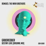 cover: Gaboredber - Destiny Love (Original Mix)