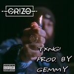 cover: Gemmy|Griz-o - Ting!