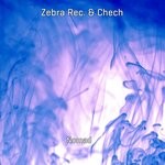 cover: Chech|Zebra Rec. - Nomad