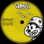 cover: Wizdom Life|Matt Fingaz - Fruits Of Labor In The Sunshine/Mad About You