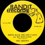 cover: The Arrows - Bring Back The One I Love/We Have Love