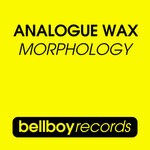 cover: Analogue Wax - Morphology