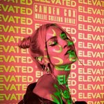 cover: Camden Cox - Elevated (Mollie Collins Remix)